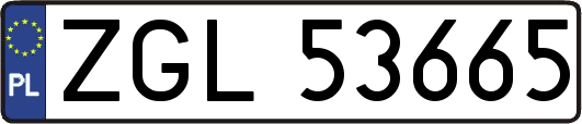 ZGL53665