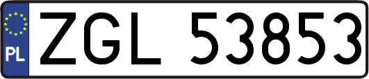 ZGL53853