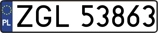 ZGL53863
