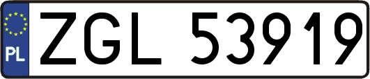 ZGL53919
