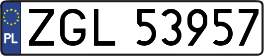 ZGL53957