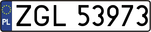ZGL53973