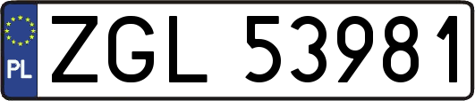 ZGL53981