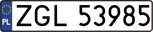 ZGL53985