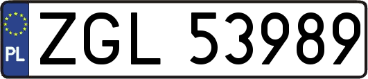 ZGL53989