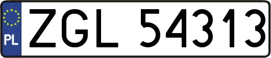 ZGL54313