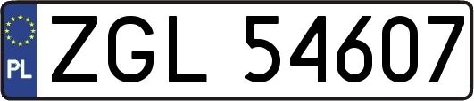 ZGL54607