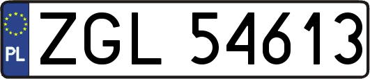 ZGL54613