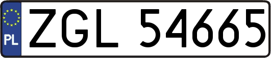 ZGL54665