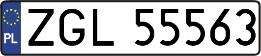 ZGL55563