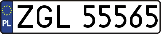 ZGL55565