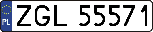 ZGL55571