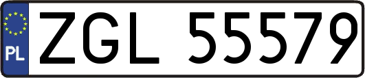ZGL55579