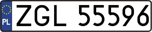 ZGL55596