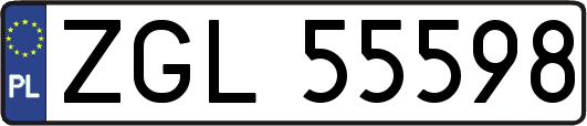 ZGL55598