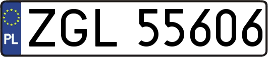 ZGL55606