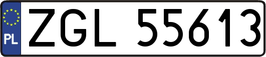 ZGL55613