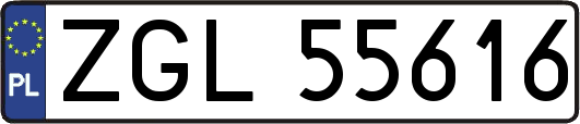 ZGL55616