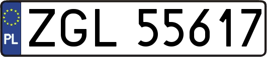 ZGL55617