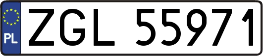 ZGL55971