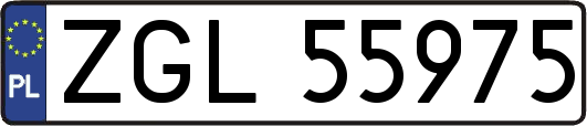 ZGL55975
