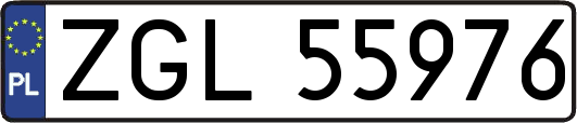 ZGL55976