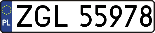 ZGL55978