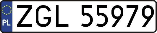ZGL55979