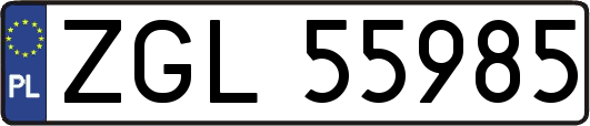 ZGL55985