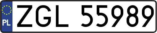 ZGL55989