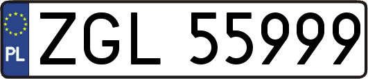 ZGL55999