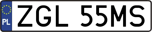 ZGL55MS