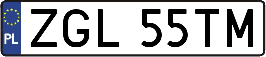 ZGL55TM