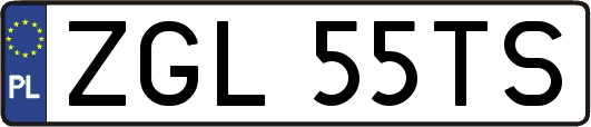 ZGL55TS