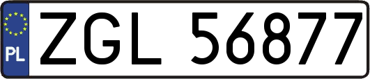 ZGL56877