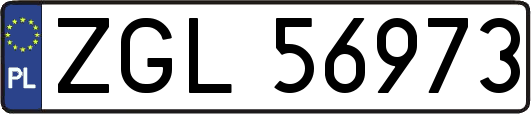 ZGL56973