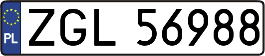 ZGL56988