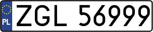 ZGL56999
