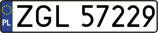 ZGL57229