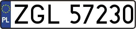 ZGL57230