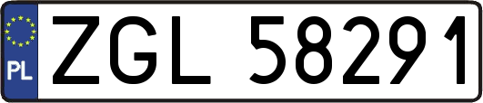 ZGL58291