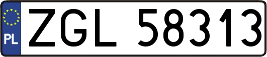 ZGL58313