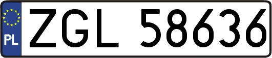 ZGL58636