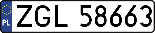 ZGL58663
