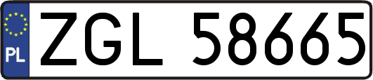 ZGL58665