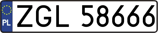 ZGL58666