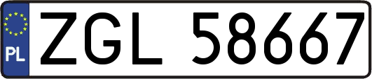 ZGL58667