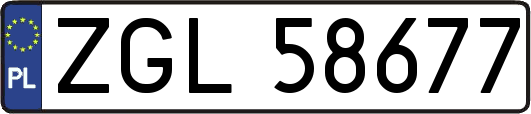 ZGL58677