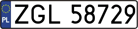 ZGL58729