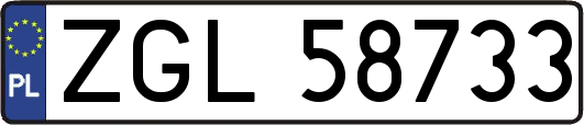 ZGL58733